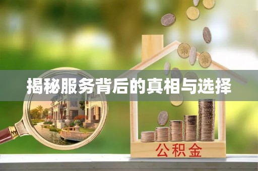 北辰揭秘服务背后的真相与选择