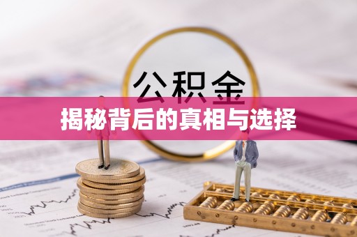 北辰揭秘背后的真相与选择