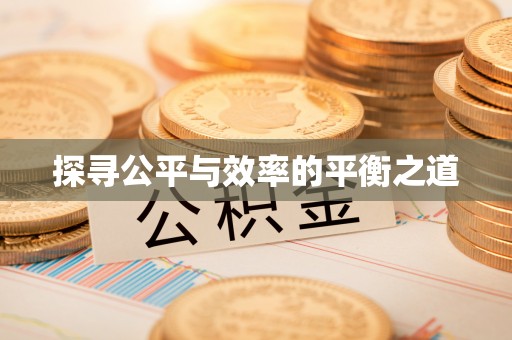 北辰探寻公平与效率的平衡之道