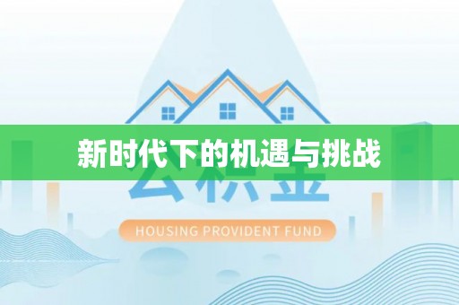 北辰新时代下的机遇与挑战