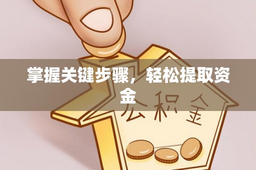 北辰掌握关键步骤，轻松提取资金