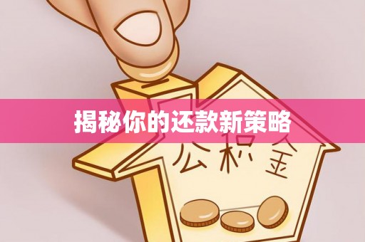 北辰揭秘你的还款新策略