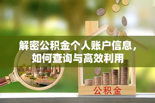 北辰解密公积金个人账户信息，如何查询与高效利用