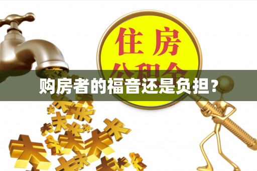 北辰购房者的福音还是负担？