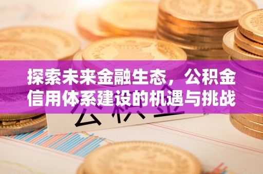 北辰探索未来金融生态，公积金信用体系建设的机遇与挑战