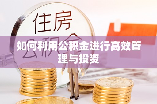 北辰如何利用公积金进行高效管理与投资