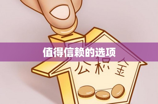 北辰值得信赖的选项
