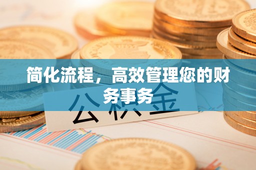 北辰简化流程，高效管理您的财务事务