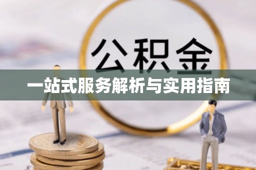 北辰一站式服务解析与实用指南