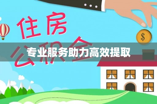 北辰专业服务助力高效提取