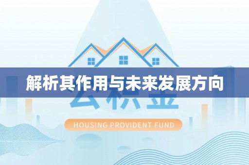 北辰解析其作用与未来发展方向