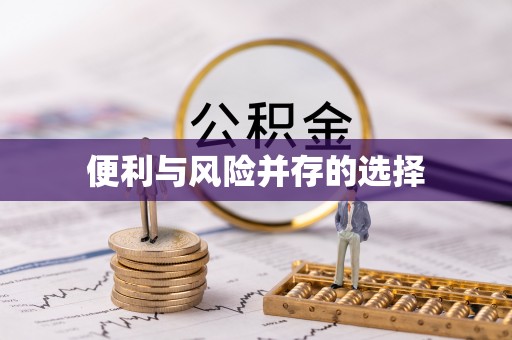 北辰便利与风险并存的选择