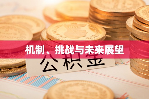 北辰机制、挑战与未来展望