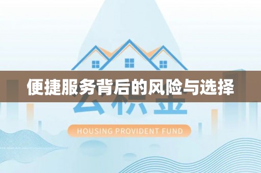北辰便捷服务背后的风险与选择
