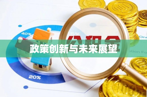 北辰政策创新与未来展望