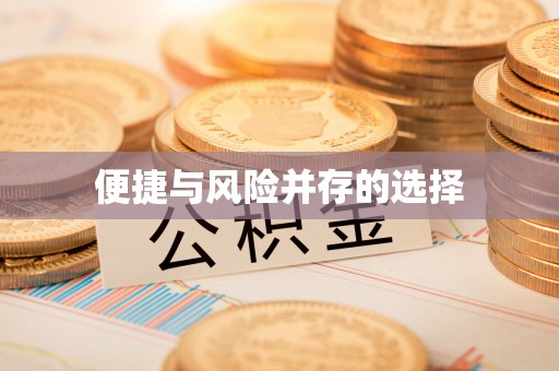 北辰便捷与风险并存的选择
