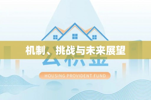 北辰机制、挑战与未来展望