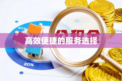北辰高效便捷的服务选择