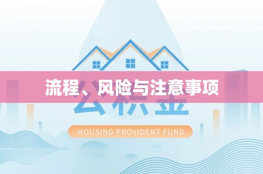北辰流程、风险与注意事项